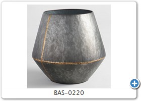 BAS-0220